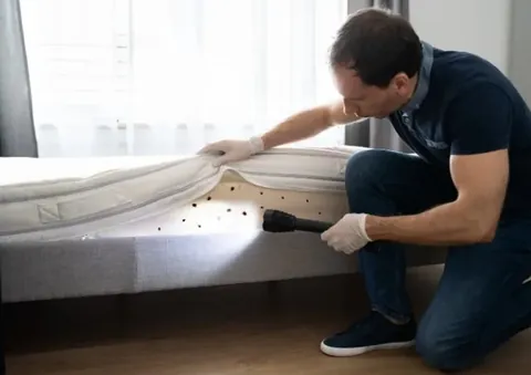 Inspección de chinches en las costuras de un colchón en Tenerife