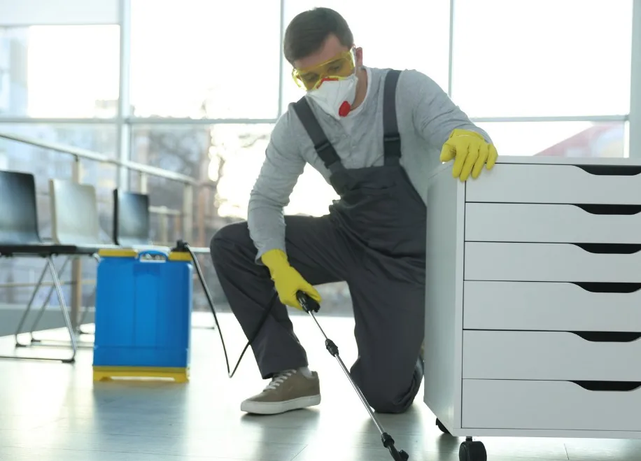 Técnico aplicador de control de plagas en una oficina de Tenerife